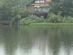 -桤木河湿地公园