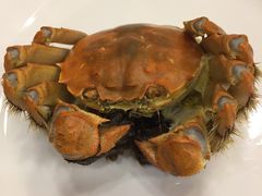 -王宝和酒家(黄浦店)