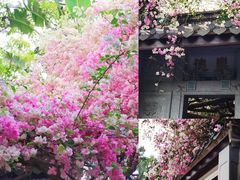-深圳国际园林花卉博览园