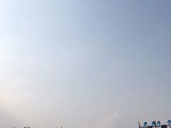 -鹅湖玫瑰文化园