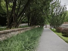 -元大都城垣遗址公园