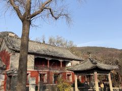 -泰山风景名胜区-普照寺