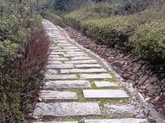 -桃花岭景区
