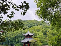-忠山公园