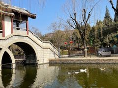 -团结湖公园