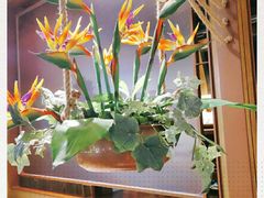 -云海肴云南菜·蒸汽石锅鱼(北京良乡华冠店)