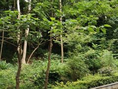 -贵州省植物园