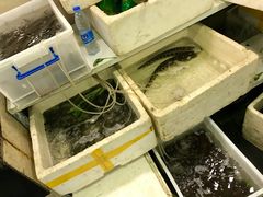 -阿马蛋汤·宁波小海鲜(总店)