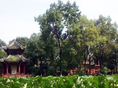 -房湖公园