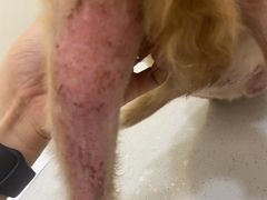 -萌兽医馆·犬猫专科·眼科中心·宠物医院(朝阳门分院)