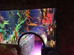 -沈阳海洋探索中心