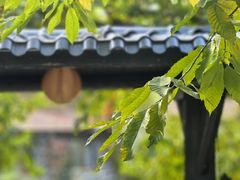 -北京水岸山吧度假村(雁栖镇店)