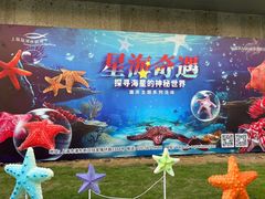 -上海海洋水族馆