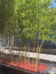 -爱儿美儿童摄影(朝阳公园店)