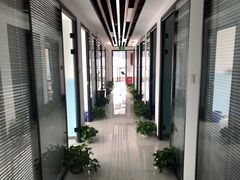 -新航道雅思托福·留学·考研培训(人民广场校区)