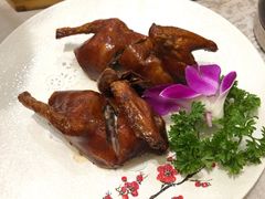 红烧乳鸽-如丰晟宴(长安万达店)