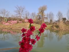 -常德桃花源景区