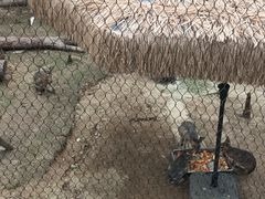 -武汉动物园