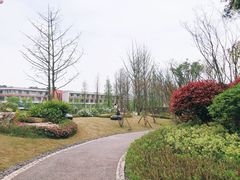 -铁山坪森林公园