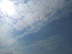 -新江湾城公园
