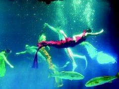 -大明湖海底世界