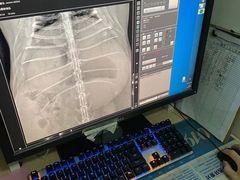 -爱侣宠医·鹦鹉专科·小型哺乳类·异宠专科(灵石路店)