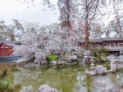 -东湖磨山景区