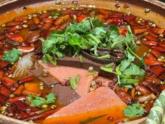 毛血旺-福照楼汽锅鸡·云南菜(护国路店)