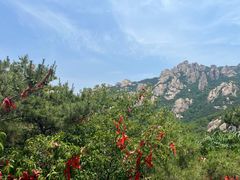 -崂山九水游览区