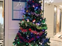 -宝燕壹号(长寿店)