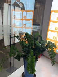 -洗脸熊·洗脸吧