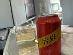 -海南海航航空信息系统公司