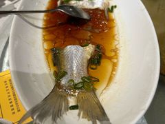 -金美华轩(东方路齐鲁店)