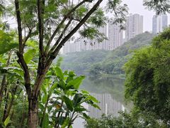 -重庆彩云湖湿地公园