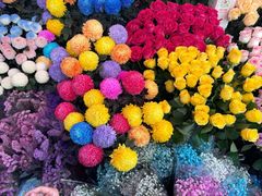 -越秀西湖花市(广州城市广场花卉店)
