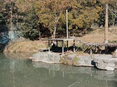 -宁波野生动物园