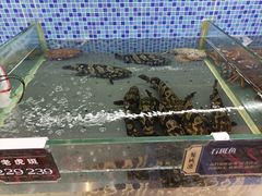 水产区-欧记·龙城港(欣都店)