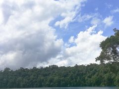 -热带雨林自然公园
