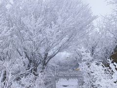 -里口山风景名胜区