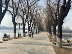 -北陵公园