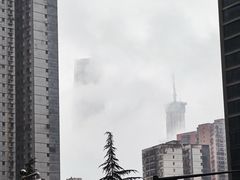 -武汉绿地中心
