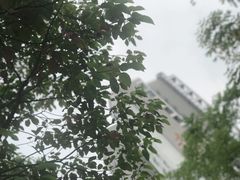 -中国计量大学(西校区)