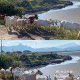 美到哭的象山饭桶山[调皮]