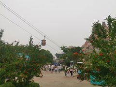 -上海海昌海洋公园