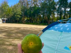 -前小桔亲子创意农场·草莓采摘·露营烧烤