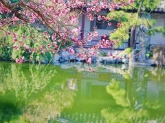 -艺圃