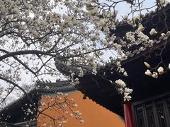 -灵谷景区
