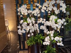 -上海静安铂尔曼酒店