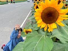 -中国天府农业博览园