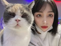 -极木²邸 人与宠物·互动社区